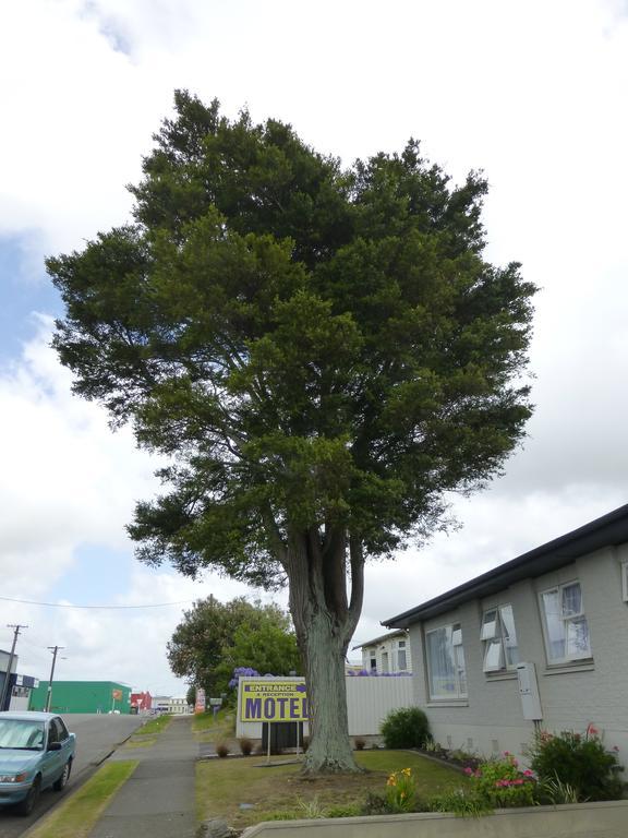 Totara Lodge Motel Levin Zewnętrze zdjęcie