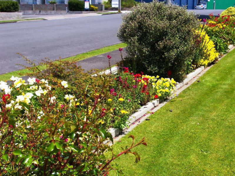 Totara Lodge Motel Levin Zewnętrze zdjęcie